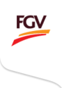 FGV Logo